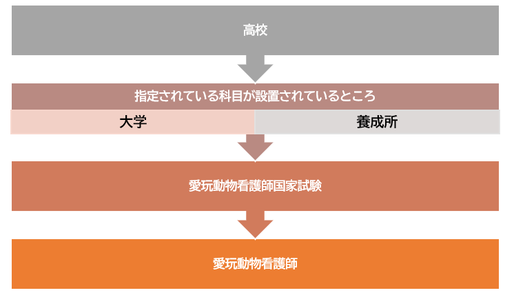 動物好きな看護師さん必見 動物看護師になるには 看護コラム 看護求人ガイド